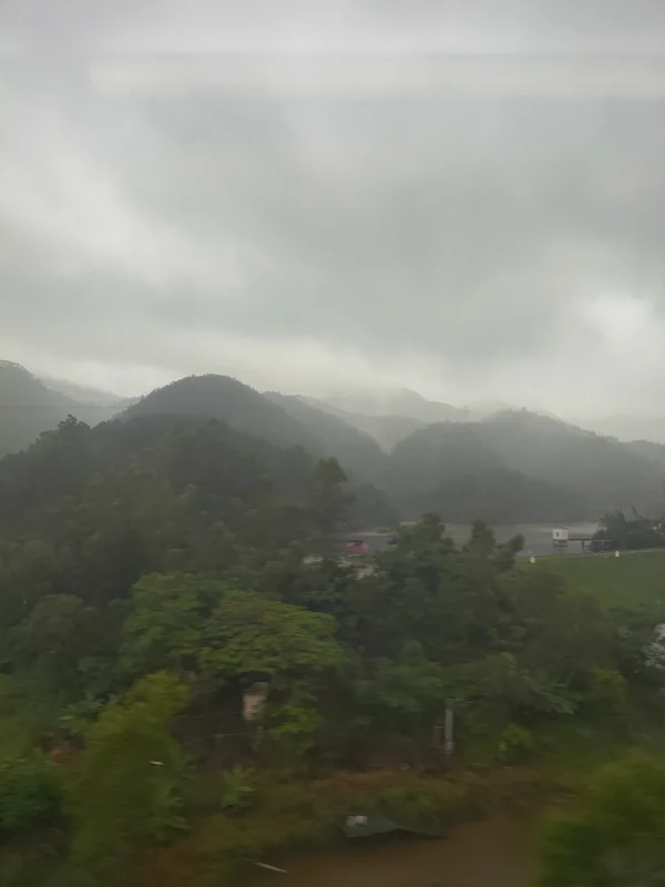 照片: 大雨滂沱